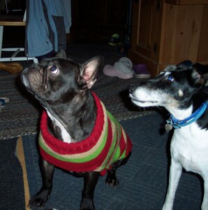 Kenneth & Sarah Smith